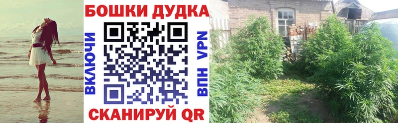 магазин продажи наркотиков  Боготол  Конопля сатива 